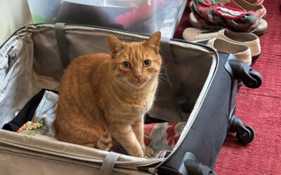 Take Me with You!